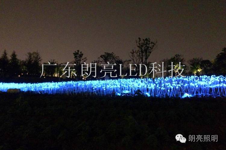 大发国际官网网站
12.jpg
